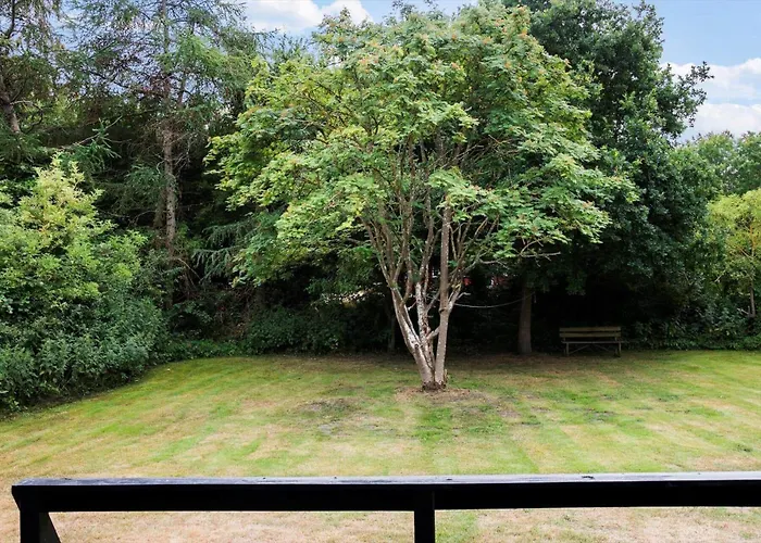 Dom wakacyjny Ll238-tranekaer-engvej-17